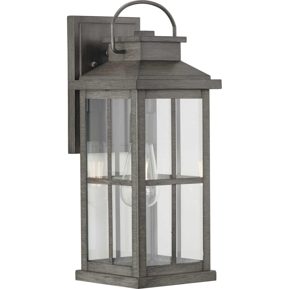Williamston Collection One-Light Antique Pewter and Clear Glass Transitional Style Large Outdoor Wal