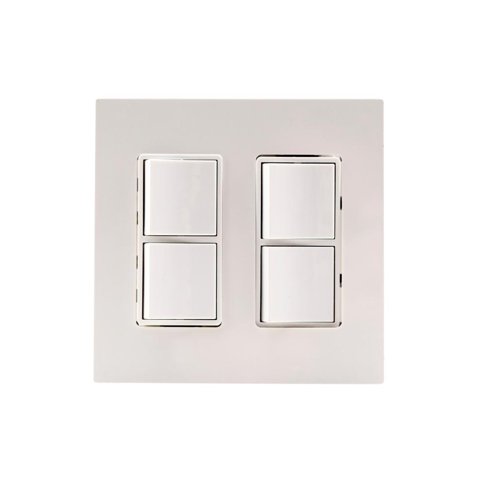 DUAL DUPLEX,PLATE AND BOX,W