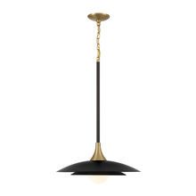 Eurofase 46441-041 - WELSH, LED PENDANT, BLACK